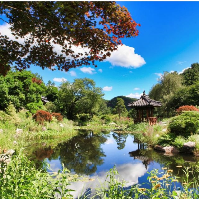 Seoul: Nami and Petite France Tour with Optional K-Garden - Timing, transport, and what to watch for