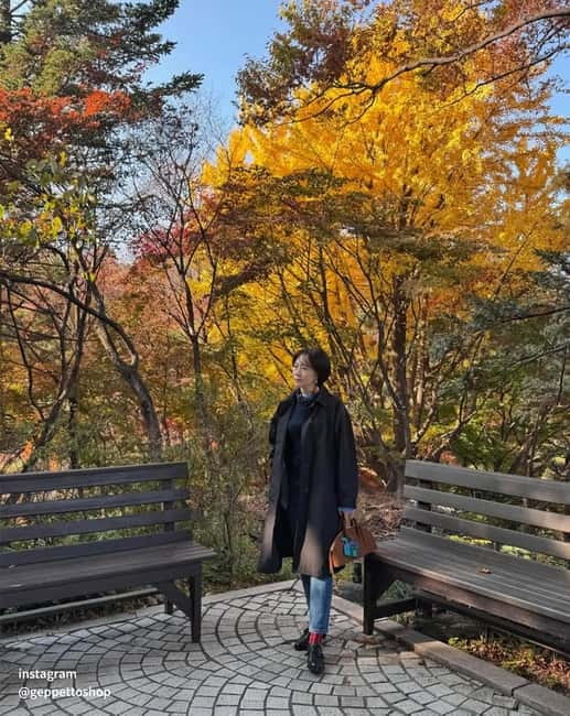 Seoul: Nami Island, Alpaca World, Morning Calm Garden - Should you book this Morning Calm, Nami Island, and Alpaca World day trip?