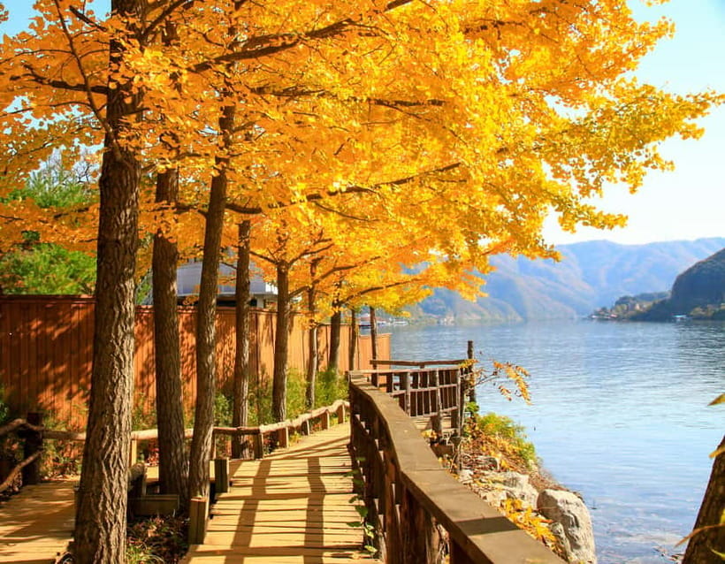 Seoul: Nami Island and Garden of Morning Calm opt Railbike - Gangchon Rail Park rail bike: slow riding that makes the drive worth it