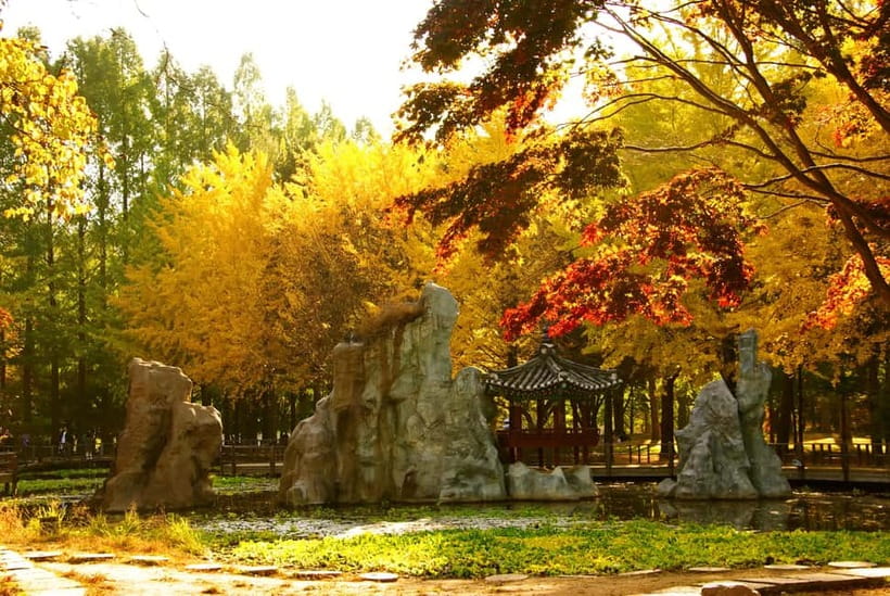 Seoul: Nami Island, Garden and Petite France (opt. Railbike) - How the bus day actually works: timing, pickups, and drop-offs
