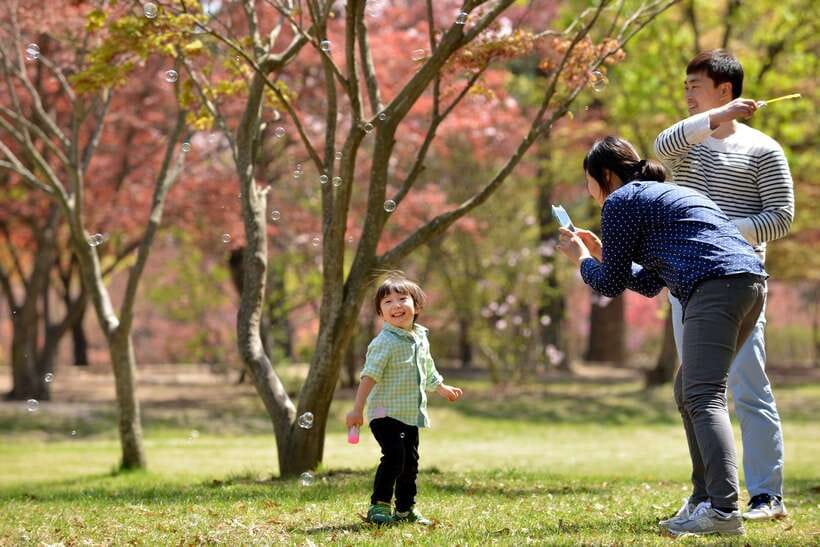 Seoul: Nami Island & Petite France Tour with Railbike Option - Petite France in a tight 45 minutes, and how to photo-plan