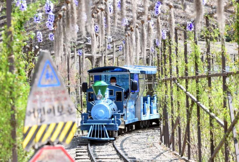 Seoul: Nami Island & Petite France Tour with Railbike Option - Weather, season swaps, and how to make the day feel easier