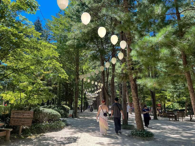 Seoul: Nami Island & Petite France Tour with Railbike Option - Getting to Gapyeong without stress (and why timing matters)