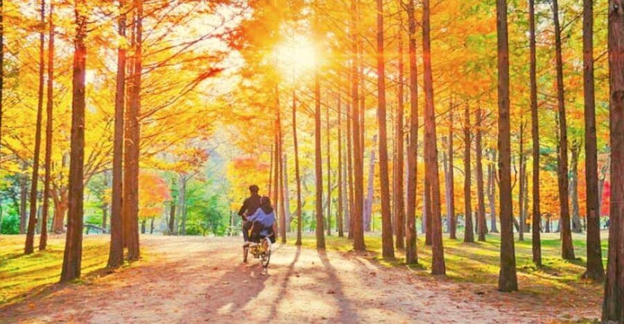 Seoul: Nami, Petite France, Italian Village, Railbike Option - The guide factor, and why names keep coming up
