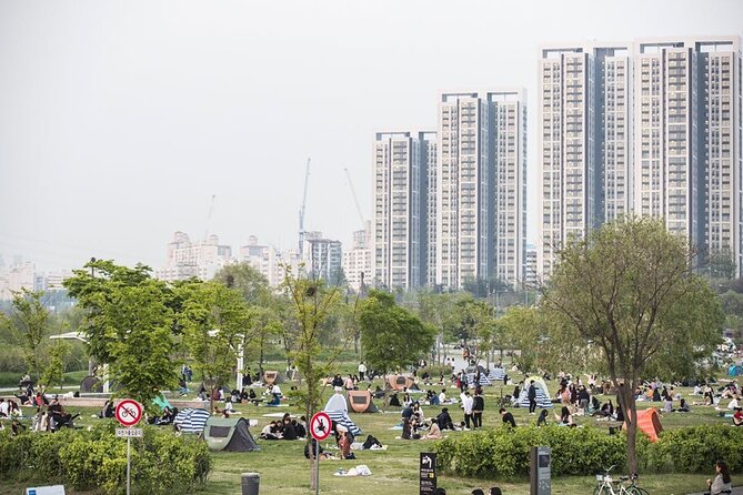 Seoul Night Tour with Han River Cruise and Gyeongbokgung Palace - Price and Logistics: Is $245 Good Value?