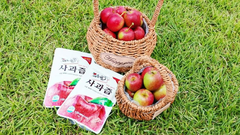 Seoul: Pocheon Art Valley, Garden and Fruit Picking Day Tour - How the day trip flows from Seoul in an 11-hour loop