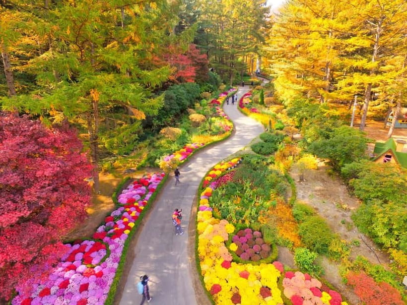 Seoul: Pocheon Art Valley, Garden and Fruit Picking Day Tour - The guide and pace: what the bus time and language support really mean