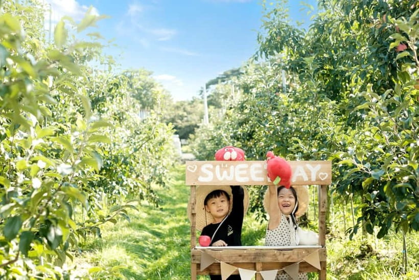 Seoul: Pocheon Art Valley, Garden and Fruit Picking Day Tour - Transportation, timing, and why it matters for comfort
