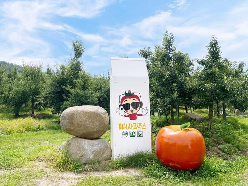Seoul: Pocheon Art Valley, Garden and Fruit Picking Day Tour - What you are paying for: value at $77 per person