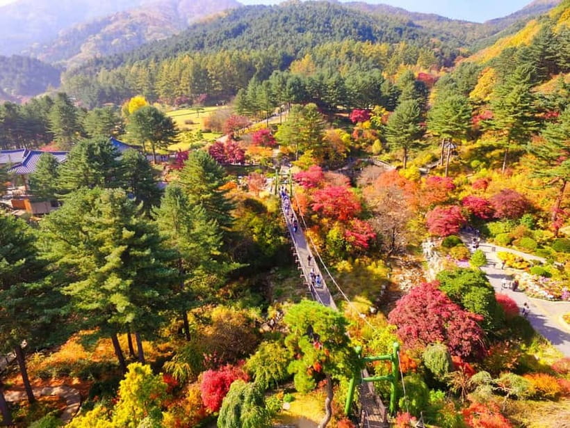 Seoul: Pocheon Art Valley, Garden and Fruit Picking Day Tour - FAQ