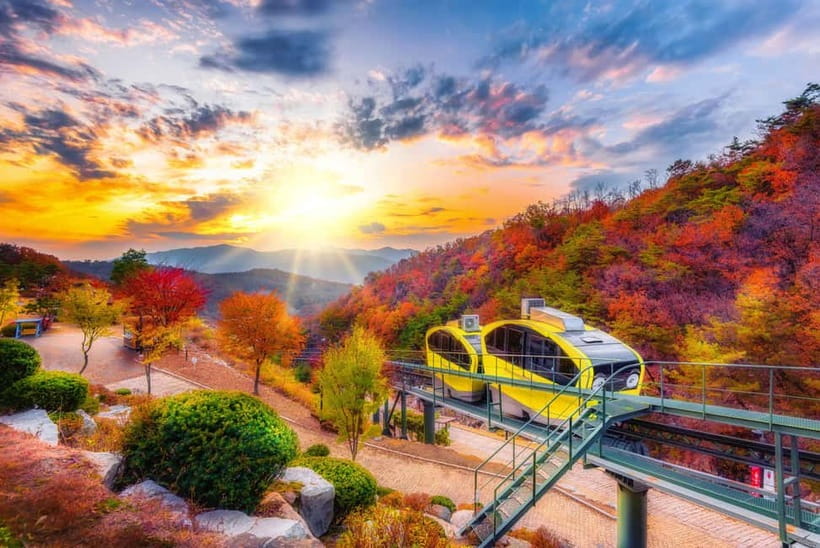 Seoul: Pocheon Art Valley, Garden and Fruit Picking Day Tour - Garden of Morning Calm: walking the oldest private garden, with seasonal light tricks