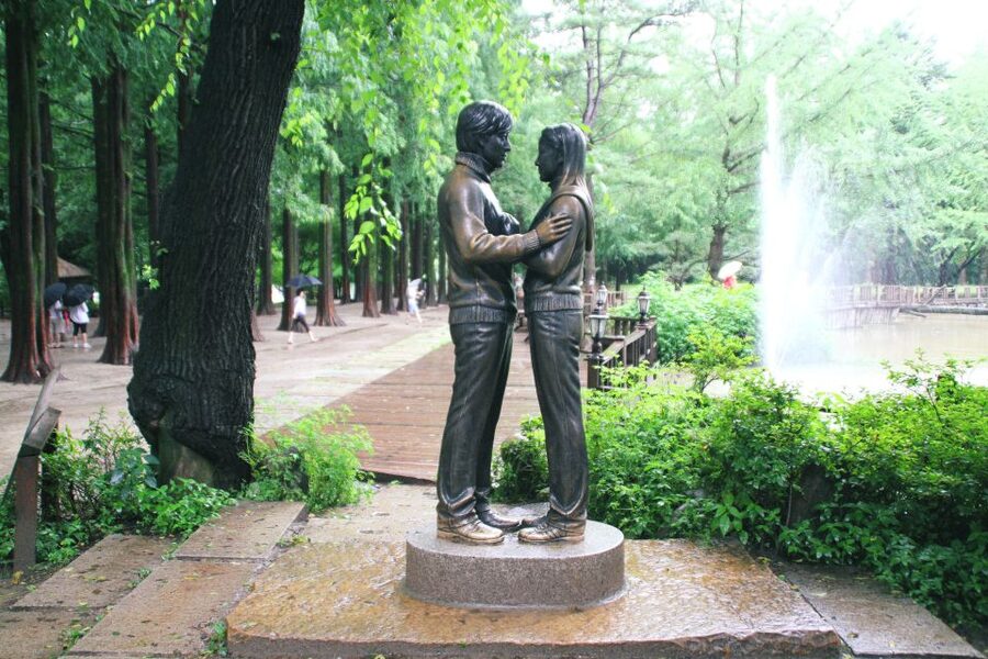 Seoul: Private Customizable Tour to Nami Island and More - Nami Island: Free Time for Dramas, Walks, and Seasonal Photos