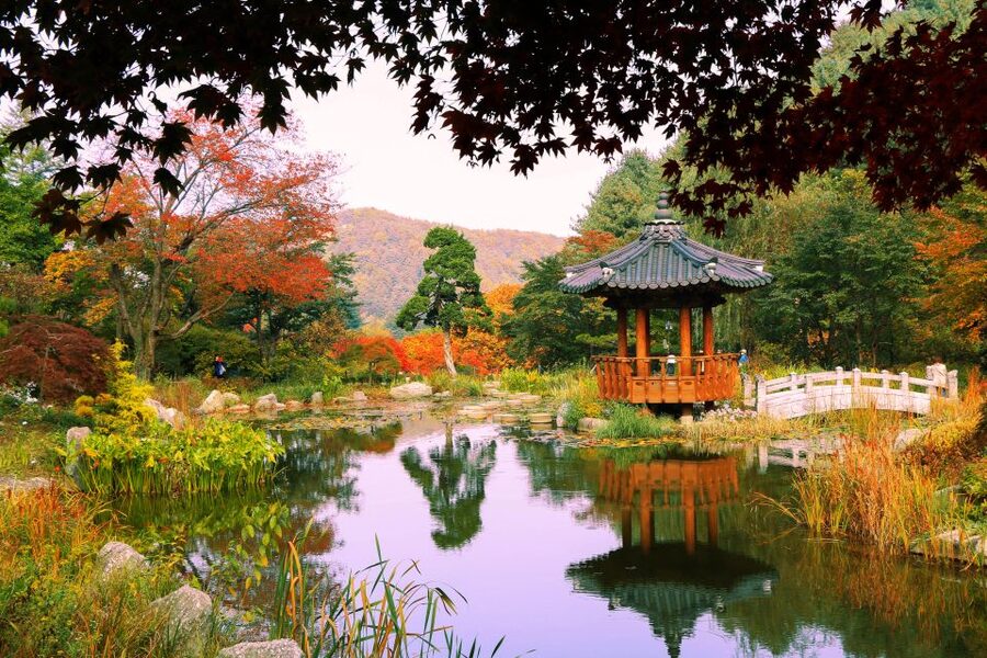 Seoul: Private Customizable Tour to Nami Island and More - Garden of Morning Calm: A Peaceful Walk Through Designed Nature