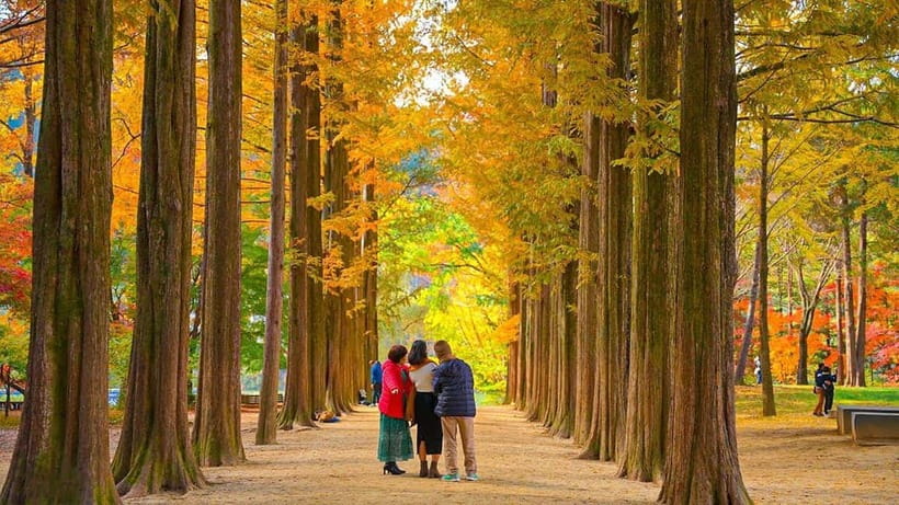Seoul: Private Tour to Nami Island, Garden, Petite France - Petite France: a Little Prince themed village with real character