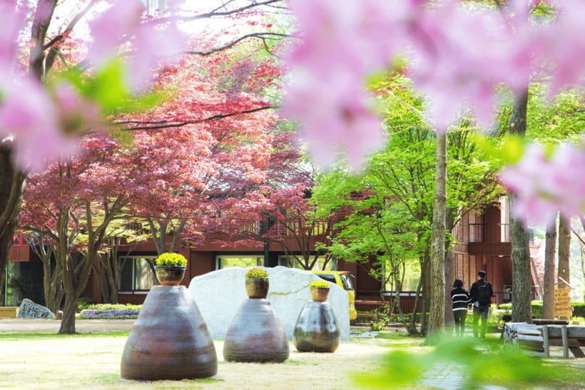 Seoul: Samaksan Cable Car & Nami with Alpaca World/Railbike - Key highlights worth building your day around