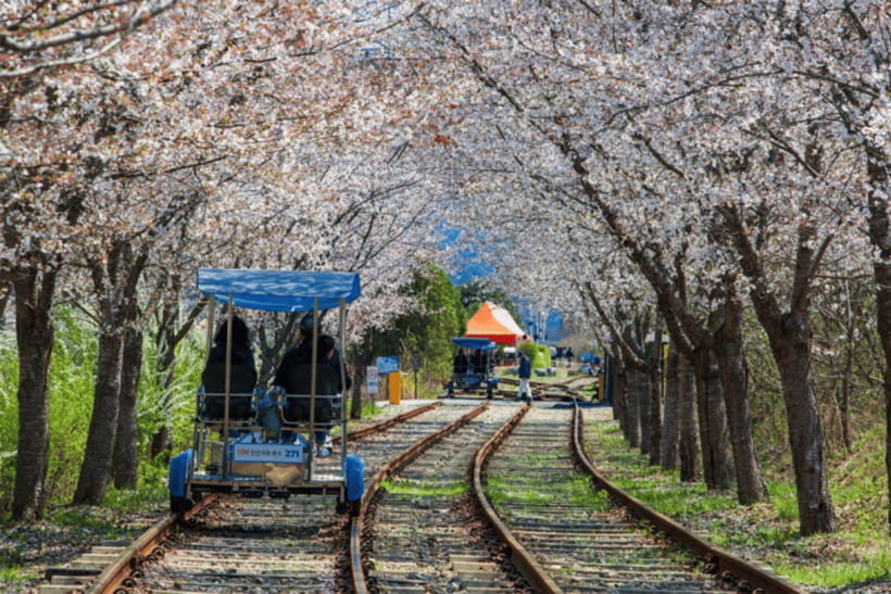 Seoul: Samaksan Cable Car & Nami with Alpaca World/Railbike - Timing and getting through crowds with a real guide