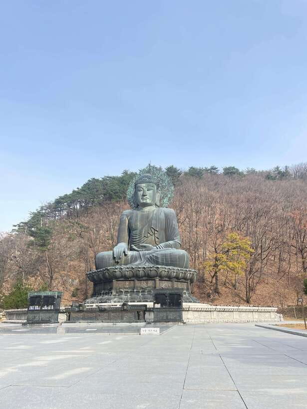 Seoul: Seorak Mountain, East DMZ, and Sokcho Tour - Seoraksan National Park: easy access, real scenery, and a cable car option