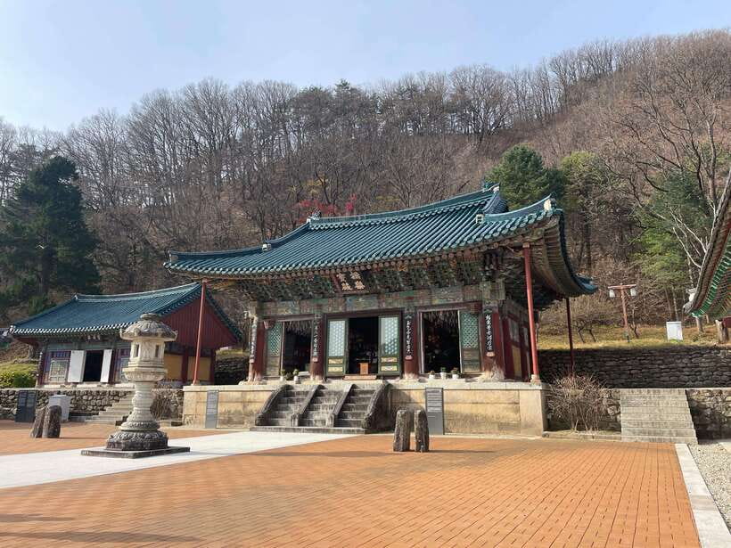 Seoul: Seorak Mountain, East DMZ, and Sokcho Tour - What to bring for Seorak and the border zone (and how to stay comfortable)