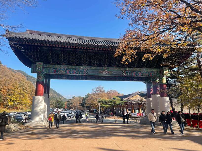 Seoul: Seorak Mountain, East DMZ, and Sokcho Tour - Goseong Unification Observatory: what you see, and why the guide’s explanation matters
