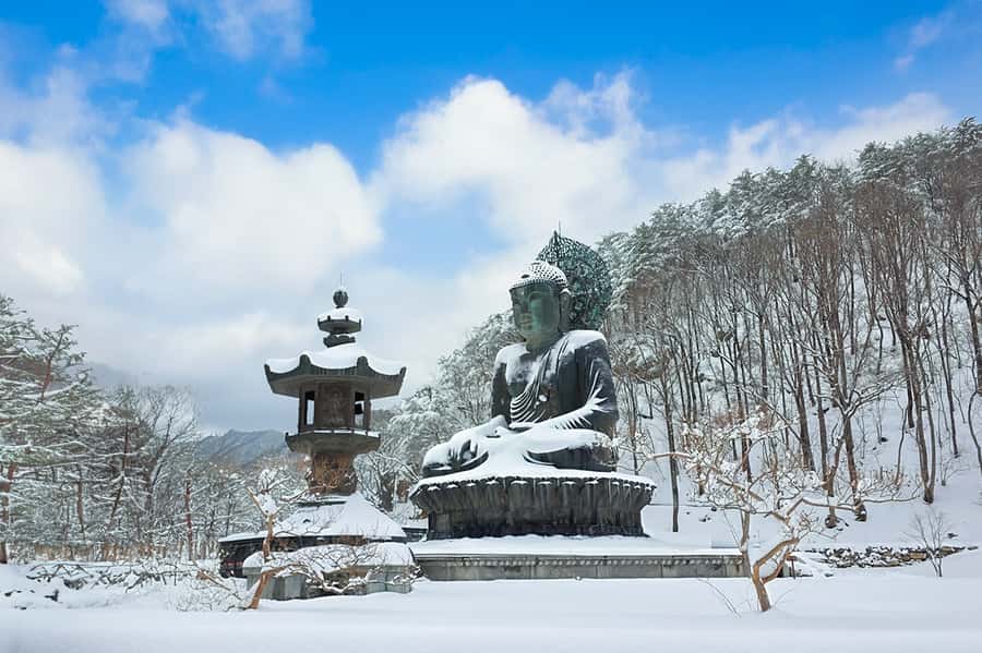 Seoul: Seorak Mountain+Nami Island+Eobi Ice Valley Tour - Key highlights worth waking up for