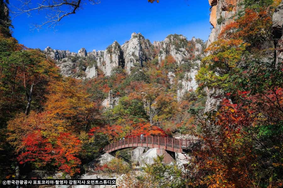 Seoul: Seorak Mountain+Nami Island+Eobi Ice Valley Tour - Who this tour is for, and who should skip it