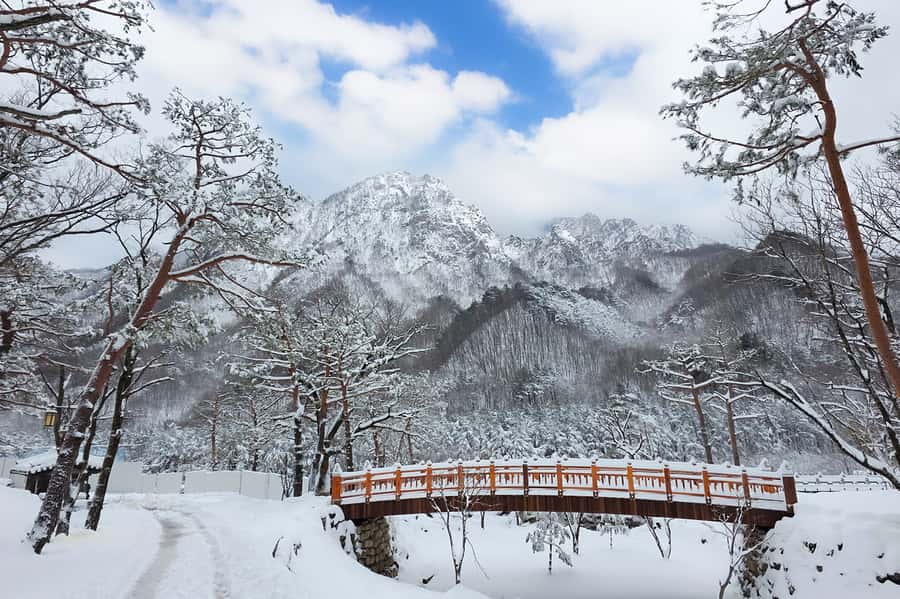 Seoul: Seorak Mountain+Nami Island+Eobi Ice Valley Tour - A winter day trip route that actually fits together