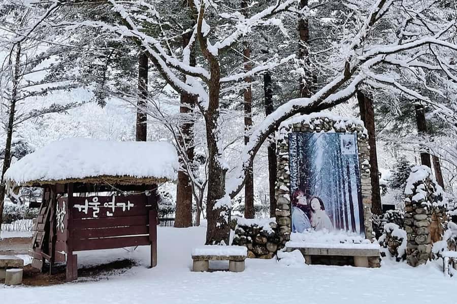 Seoul: Seorak Mountain+Nami Island+Eobi Ice Valley Tour - Seoraksan Mountain: cable car views plus Tongil Daebul and Sinheungsa