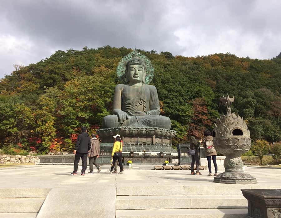 Seoul: Seorak Mountain+Nami Island+Eobi Ice Valley Tour - Eobi Ice Valley: frozen waterfall drama and why the photos look so good