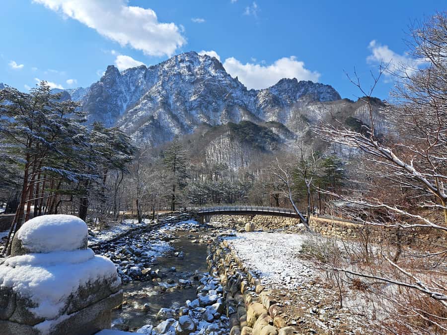 Seoul: Seorak Mountain+Nami Island+Eobi Ice Valley Tour - How the day actually runs: guided flow, free time, and bus timing