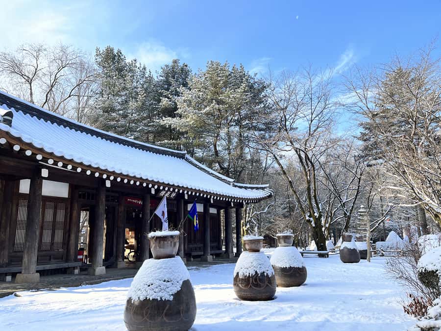Seoul: Seorak Mountain+Nami Island+Eobi Ice Valley Tour - What to bring and how to prepare for winter touring