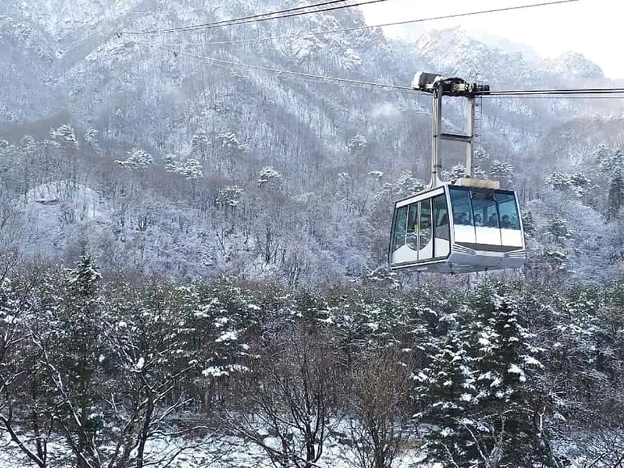 Seoul: Seorak Mountain+Nami Island+Eobi Ice Valley Tour - Price and value: what $79 gets you (and why it can be fair)