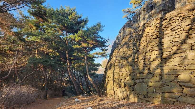 Seoul: Services of a Local for a Day (Paperwork/Tour/Fun) - Accessibility and who this day fits best