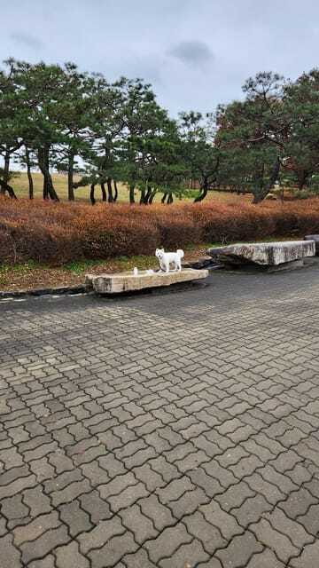 Seoul: Services of a Local for a Day (Paperwork/Tour/Fun) - K-pop and specific targets: using local time efficiently