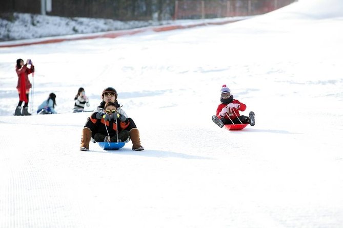 Seoul Ski Tour at Jisan Forest Resort - Price and the Real Cost of Skiing in Korea