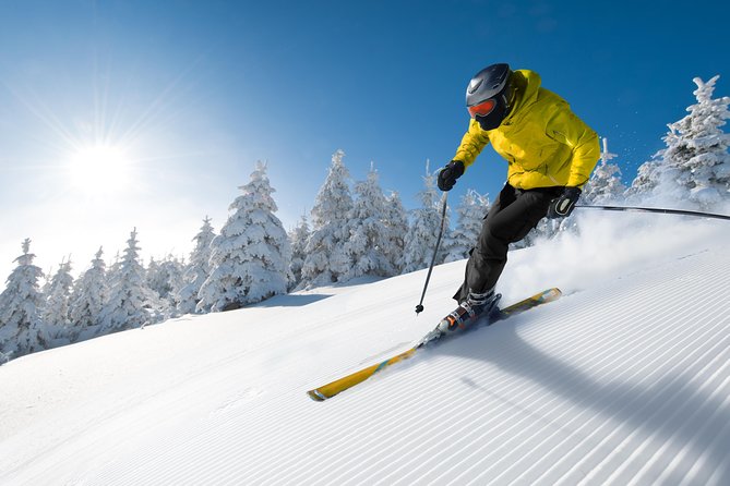 Seoul Ski Tour at Jisan Forest Resort - Jisan Forest Resort: Gondola Rides, Pines, and Snow Reliability