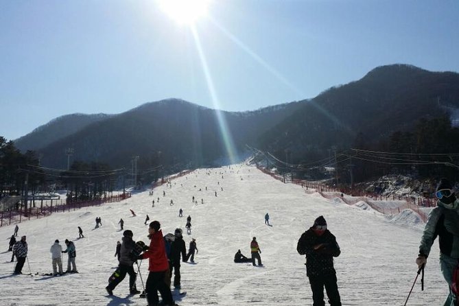 Seoul Ski Tour at Jisan Forest Resort - Guides Matter More Than You Think, and This One Has Strong Ones