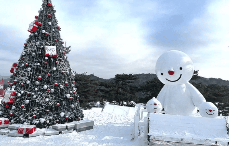 Seoul: SnowyLand in Vivaldi Park with Nami or Alpaca - Key Points You’ll Care About