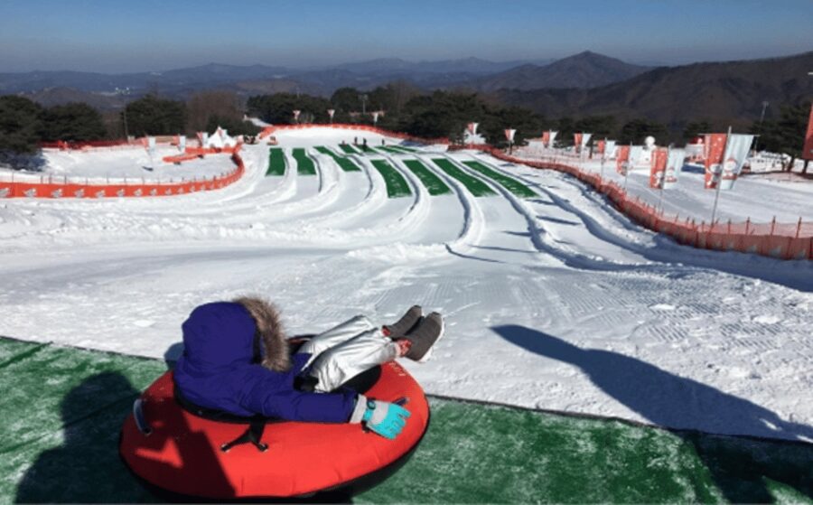 Seoul: SnowyLand in Vivaldi Park with Nami or Alpaca - Lunch Is Separate, So Treat It Like a Choose-Your-Own Adventure