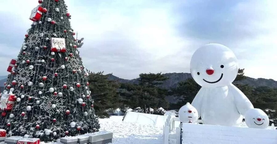 Seoul: SnowyLand in Vivaldi Park with Nami or Alpaca - Kids Stay Warm: What’s Provided and What You Still Need
