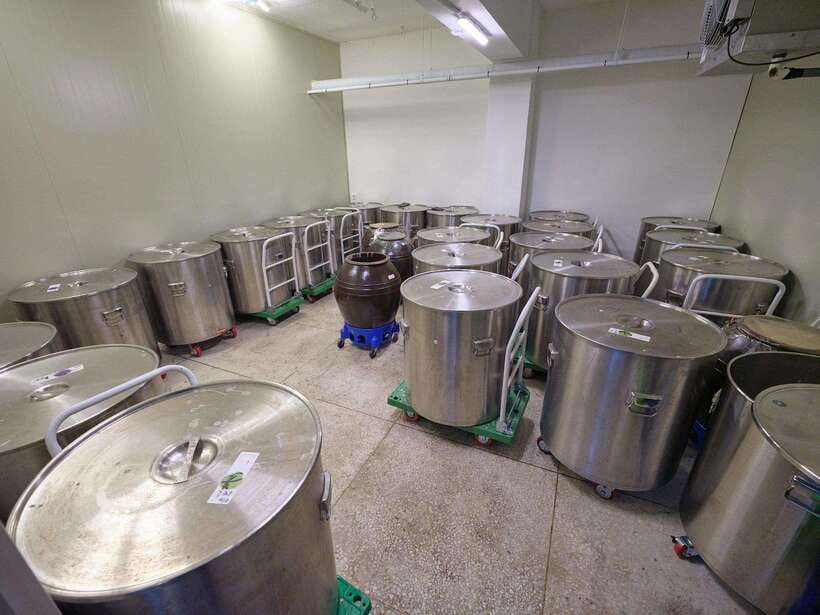 Seoul: Soju Tasting at Distillery - The alcohol lineup, and what each type teaches your palate