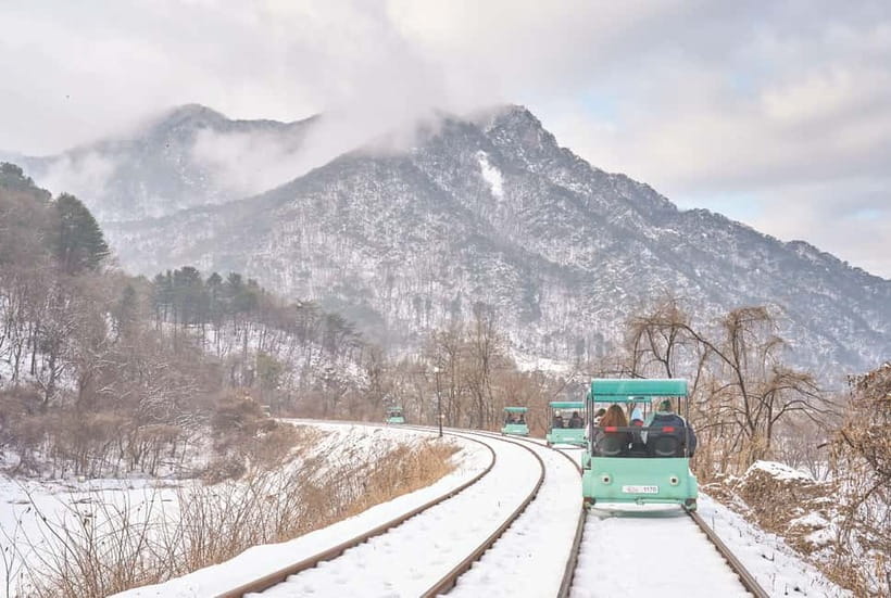 Seoul: Strawberry Picking & Eobi Ice Valley & Nami Island - Key highlights you should care about