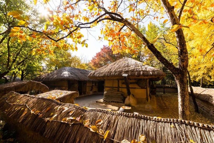 Seoul: Suwon Hwaseong Fortress & Korean Folk Village Tour - Who Should Book This Tour, and Who Might Prefer Something Easier
