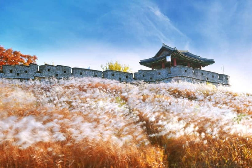 Seoul: Suwon Hwaseong Fortress & Korean Folk Village Tour - Final Call: Should You Book This Suwon Culture Day Trip?