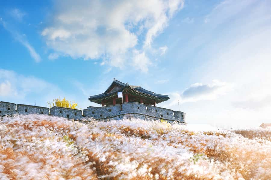 Seoul : Suwon Hwaseong Fortress+Starfield Library+Waujeongsa - Starfield Library in Suwon: a modern photo magnet with a calm feel