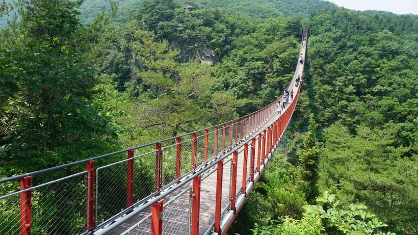 Seoul: The Best DMZ Tour with Optional Suspension Bridge - Key Highlights You Should Care About