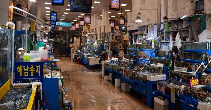 Seoul: The Biggest Sea-food Noryangjin Market Food Tour - Who should book this Noryangjin seafood tour