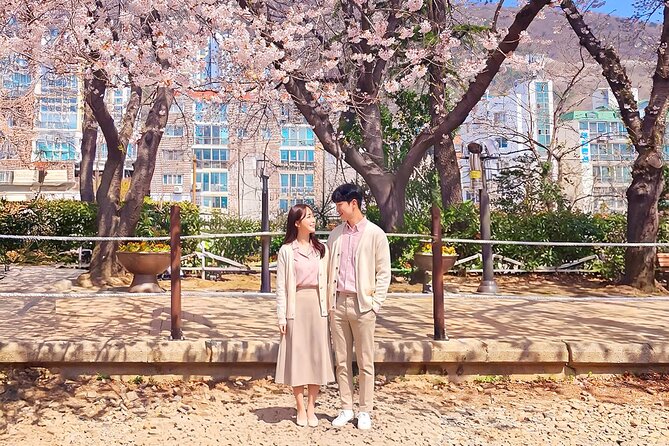 Seoul to Jinhae Cherry Blossom Festival (With Busan Drop-off) - One drawback to think through first