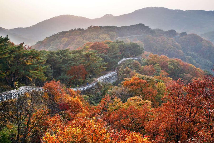 Seoul: UNESCO Namhansanseong, Royal Tomb & Icheon (EG Tour) - Who this tour is best for (and who might want a different plan)