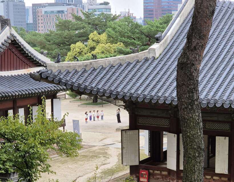 Seoul: UNESCO Palace and Street Foods Guided Tour - Guide Experience: Why Sam’s Presence Shows Up in the Details