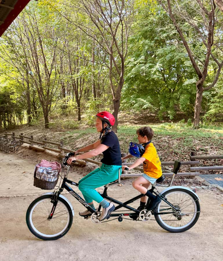 Seoul: Urban Nature Bike Tour along Han River - Key highlights worth planning for